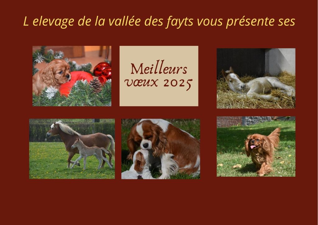 De La Vallée Des Fayts - Meilleurs voeux